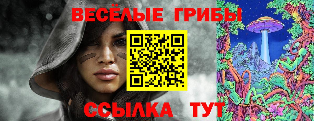 Галлюциногенные грибы мухоморы  Галлюциногенные грибы Psilocybine cubensis  Вход с VPN  Выборг 